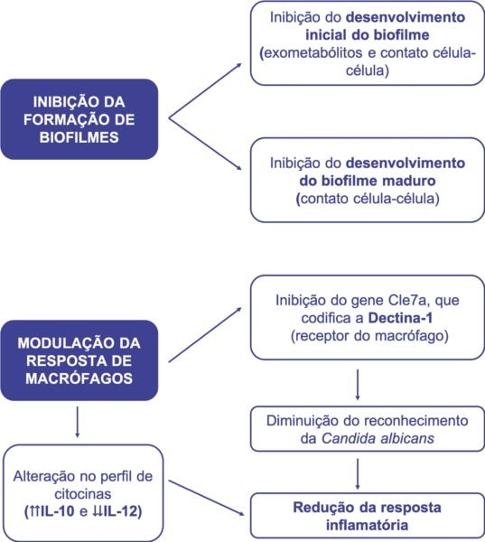 candidiase de repeticao uso de probioticos como terapia complementar 1