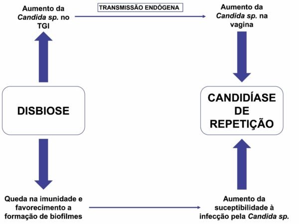 candidiase de repeticao uso de probioticos como terapia complementar 3